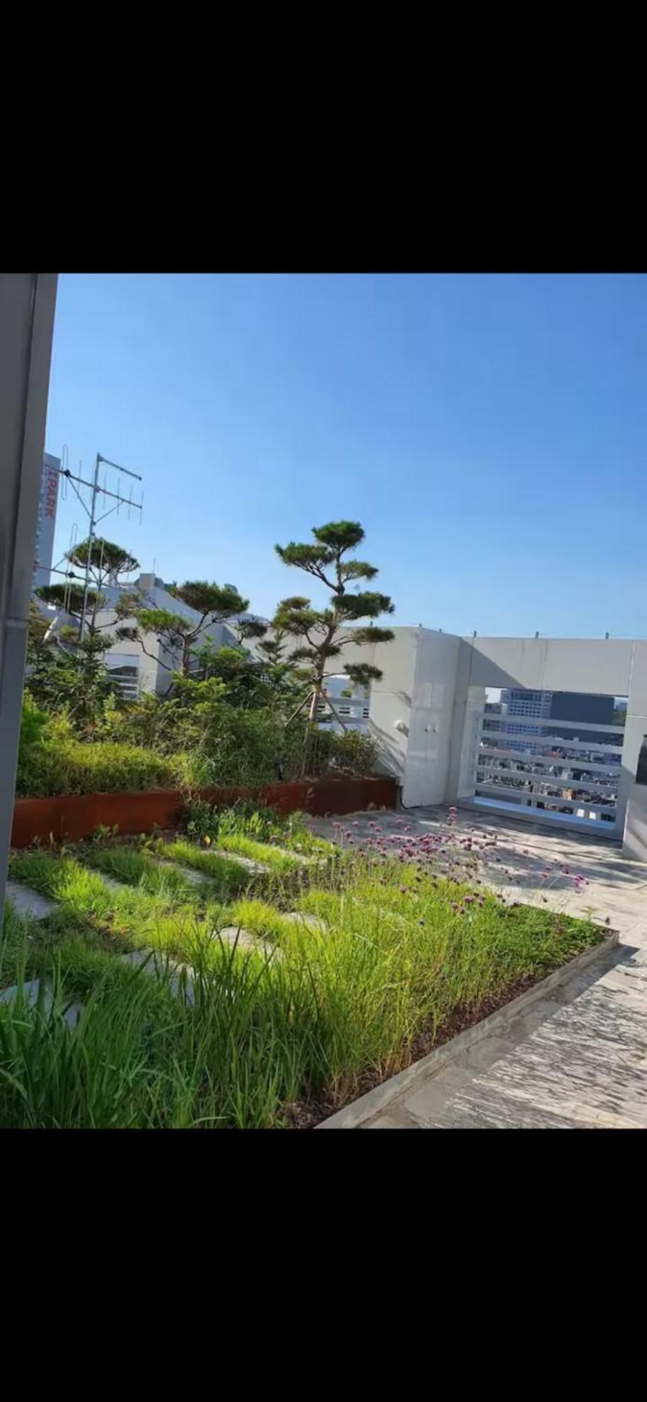 Zizel Seocho * Seoul